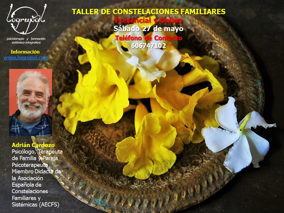 Taller de Constelaciones Familiares en Almería y online (Sábado 27 de mayo)